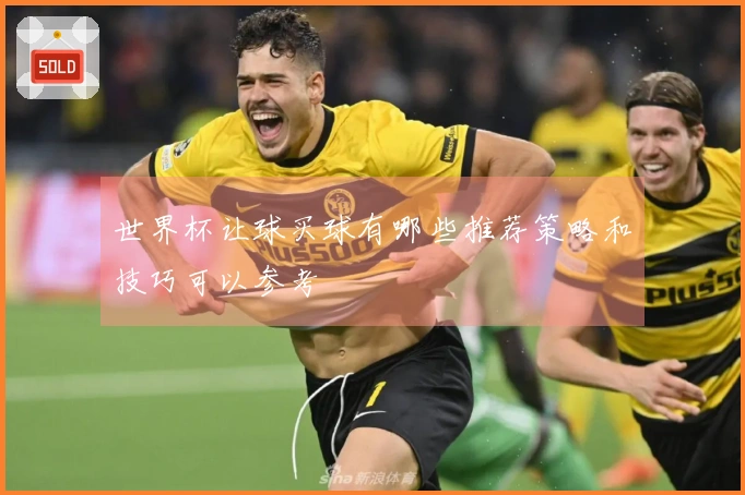 世界杯让球买球有哪些推荐策略和技巧可以参考