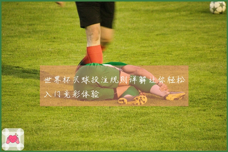 世界杯买球投注规则详解让你轻松入门竞彩体验