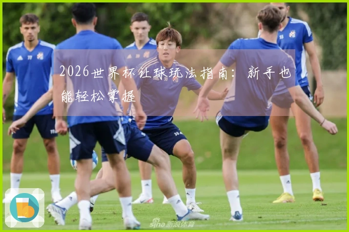 2026世界杯让球玩法指南：新手也能轻松掌握