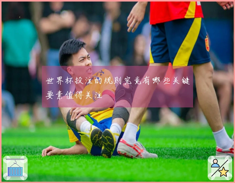 世界杯投注的规则究竟有哪些关键要素值得关注