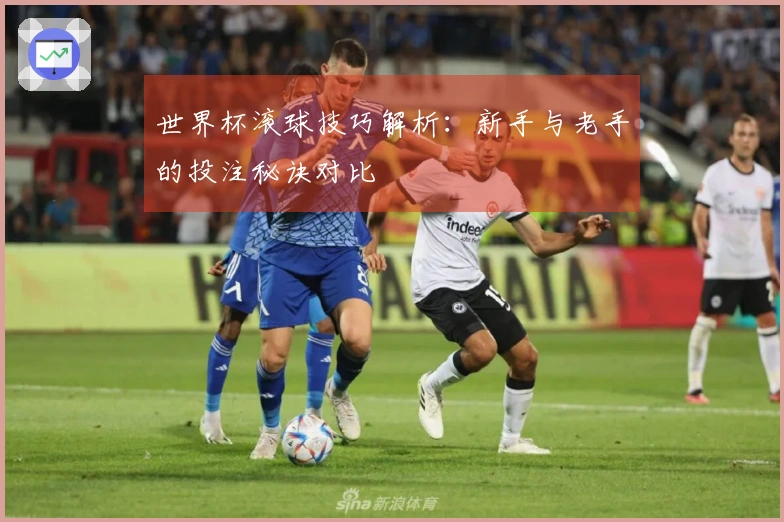 世界杯滚球技巧解析：新手与老手的投注秘诀对比