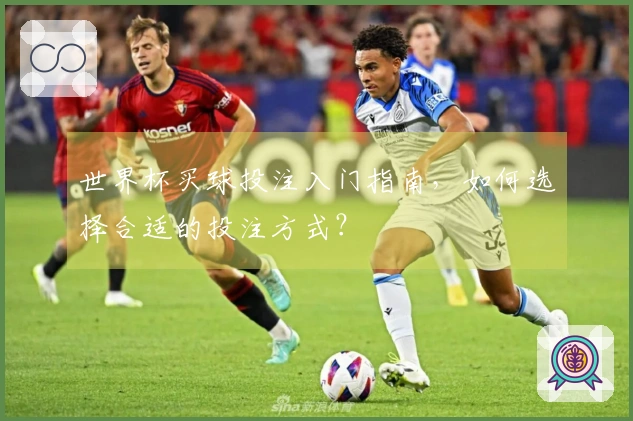 世界杯买球投注入门指南，如何选择合适的投注方式？