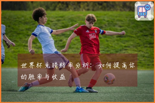 世界杯竞猜赔率分析：如何提高你的胜率与收益