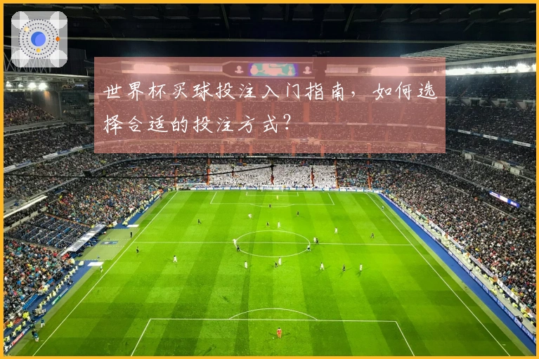 世界杯买球投注入门指南，如何选择合适的投注方式？